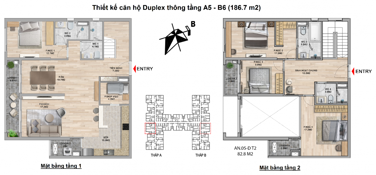 can-ho-duplex-A5-B6-the-zei-my-dinh-186.7m2